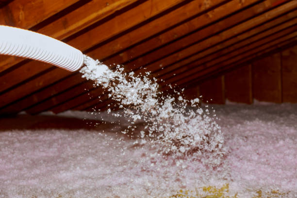 Best DIY Insulation Kits and Guidance in Warren, PA
